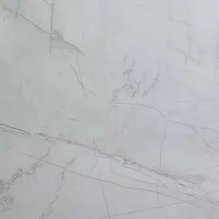 Blanco Fino Porcelain 24X24 Wall And Floor Tile